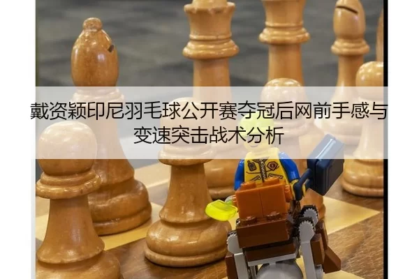 戴资颖印尼羽毛球公开赛夺冠后网前手感与变速突击战术分析