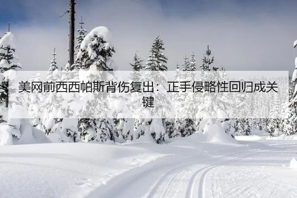 美网前西西帕斯背伤复出：正手侵略性回归成关键